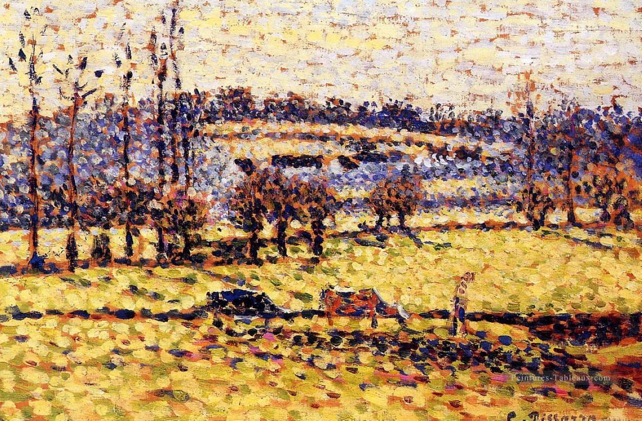 prairie à bazincourt Camille Pissarro paysage Peintures à l'huile